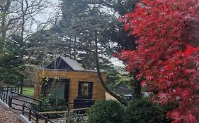 Ty Branwen- Luxury Woodland Lodge With Stunning Views